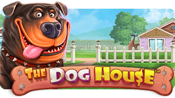 slot dog house